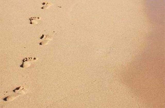S-au descoperit cele mai vechi urme de pasi din lume