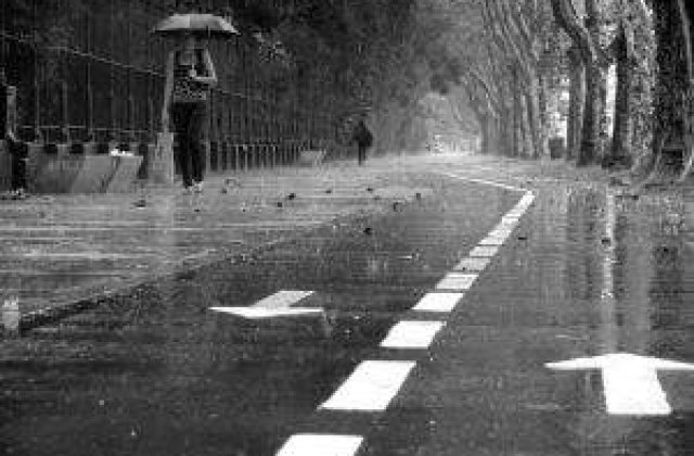 Ploile se muta din Moldova in sud-estul tarii