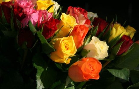 Vanzarile de ciocolata, cosmetice, vin si flori cresc de Sf. Valentin