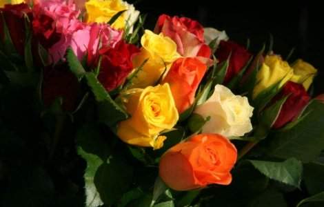 Vanzarile de ciocolata, cosmetice, vin si flori cresc de Sf. Valentin