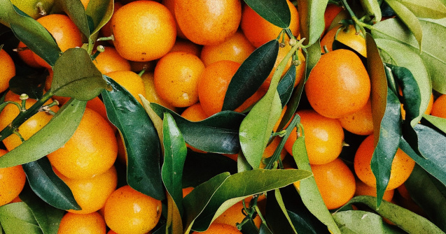 Ce categorii de persoane nu le este recomandat să consume portocale