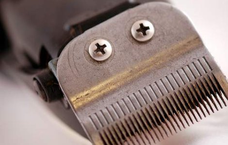 Catalog cu tunsori acceptabile pentru barbati