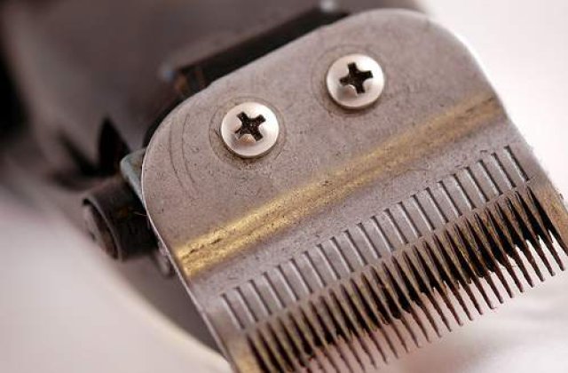 Catalog cu tunsori acceptabile pentru barbati