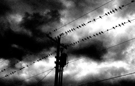 Filmele lui Hitchcock vor fi restaurate