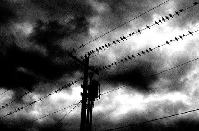 Filmele lui Hitchcock vor fi restaurate