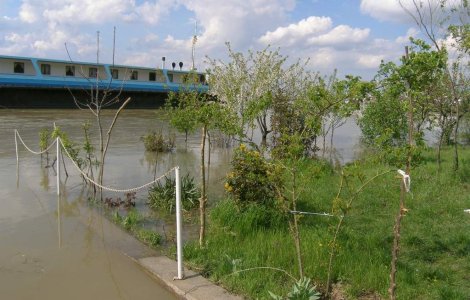 Bulgaria: Alerta de gradul trei pe Dunare