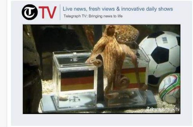 [VIDEO] Caracatita prezicatoare a dat din nou verdictul corect