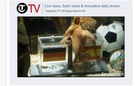  Video  Caracatita prezicatoare a dat din nou verdictul corect