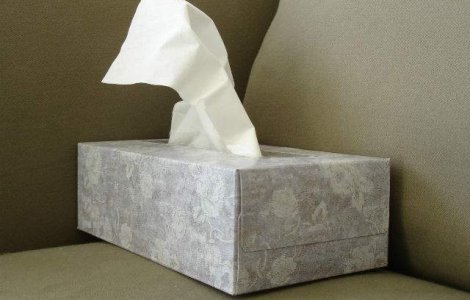 Ungaria: Autoritatile au declarat epidemie de gripa la nivel national