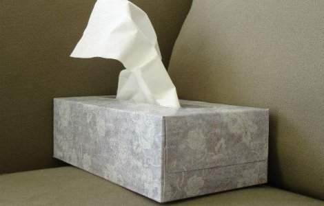 Ungaria: Autoritatile au declarat epidemie de gripa la nivel national