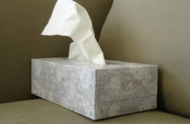 Ungaria: Autoritatile au declarat epidemie de gripa la nivel national