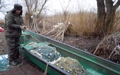 Are balta pește, dar nu și...