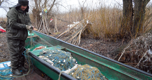 Are balta pește, dar nu și pescari. România a ajuns să importe asiatici pentru fabricile de conserve