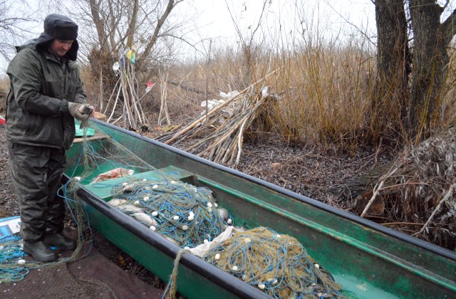 Are balta pește, dar nu și pescari. România a ajuns să importe asiatici pentru fabricile de conserve