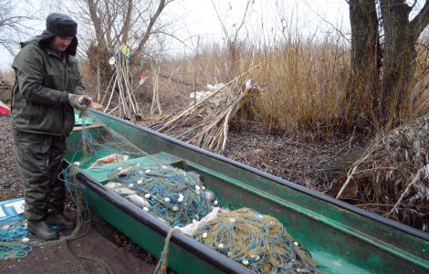 Are balta pește, dar nu și pescari. România a ajuns să importe asiatici pentru fabricile de conserve