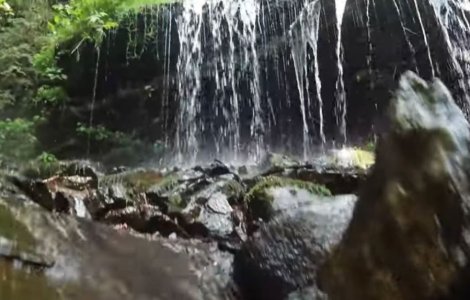 „Piatra care plânge”, comoara ascunsă în inima județului Harghita