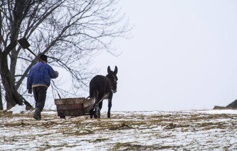  Top  Prognoza meteo pentru miercuri, 26 ianuarie 2022. Când scăpăm de gerul năprasnic