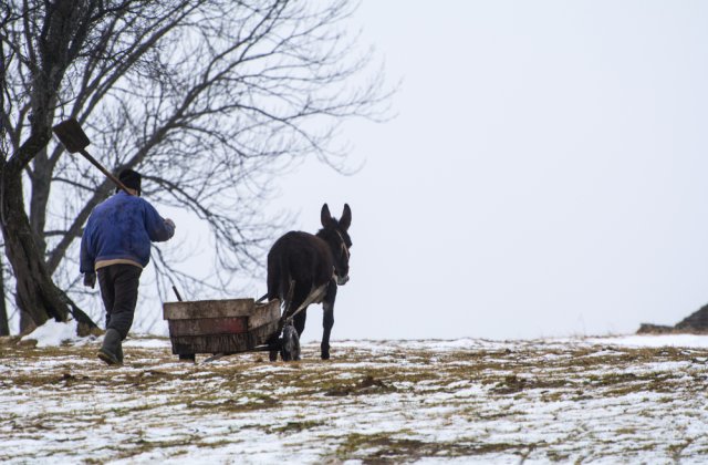 Prognoza meteo pentru miercuri, 26 ianuarie 2022. Când scăpăm de gerul năprasnic 