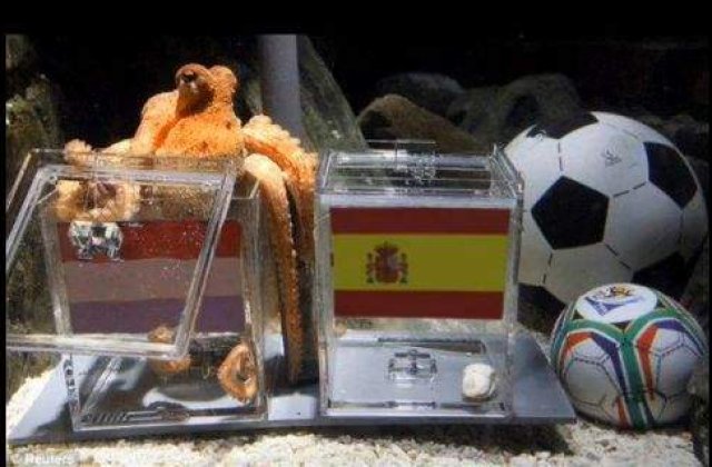 Caracatita Paul a dat verdictul pentru finala Cupei Mondiale