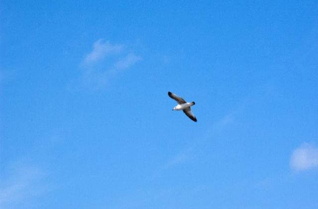 Meteo: Cum va fi vremea in weekend