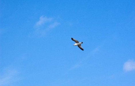 Meteo: Cum va fi vremea in weekend