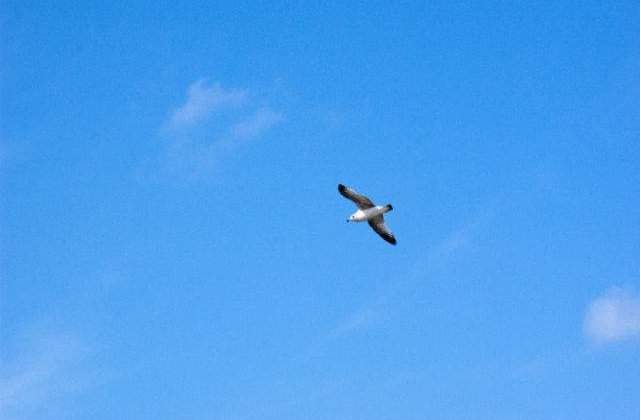 Meteo: Cum va fi vremea in weekend