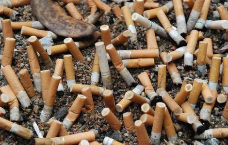 80% dintre soferii bucuresteni sunt predispusi la boli pulmonare