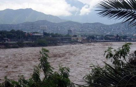 Au stat patru zile intr-un copac