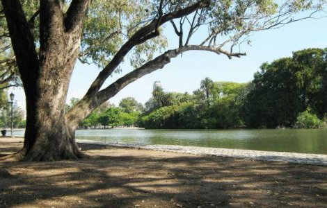 Vremea: Prognoza meteo pana pe 1 martie