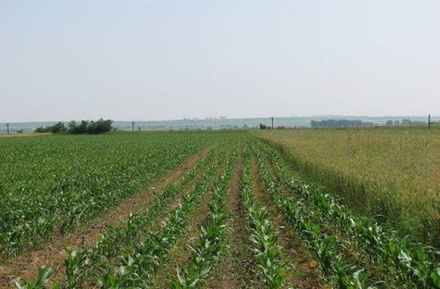 Prutul face ravagii in judetul Galati: Peste 500 ha de teren agricol, inundate