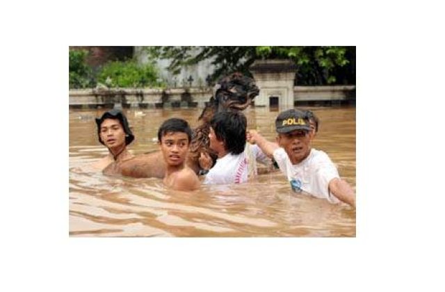 Cel putin 221 de persoane au murit in inundatiile din India