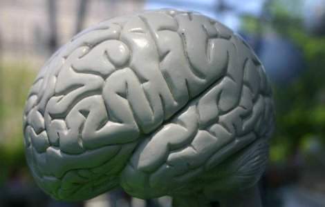 Are un coeficient de inteligenta de 160 la varsta de trei ani