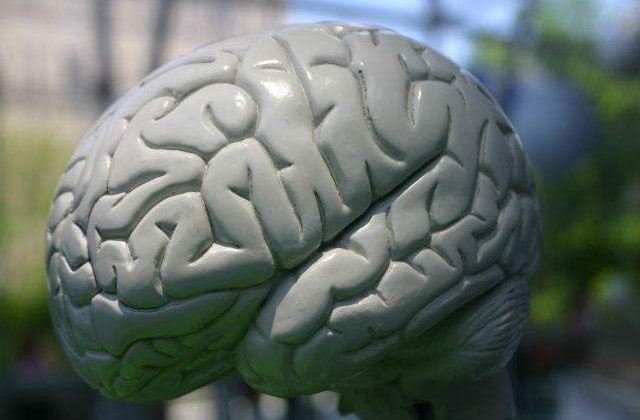 Are un coeficient de inteligenta de 160 la varsta de trei ani