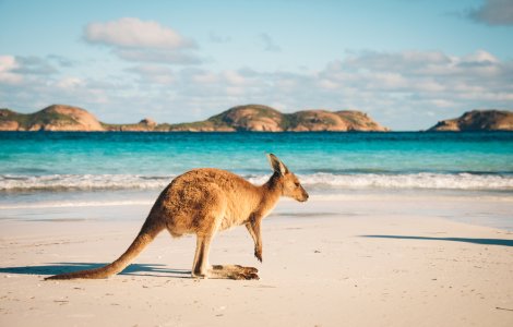  Top  4 atracții și obiective turistice din Australia