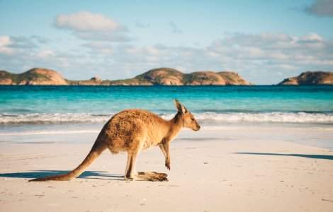  Top  4 atracții și obiective turistice din Australia