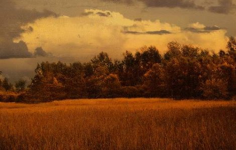 Canicula si in Siberia = Pauza de pranz "de tip siesta" pentru rusi?