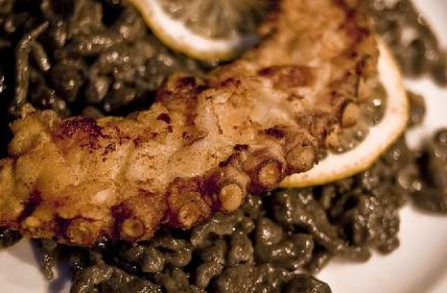 Merkel si Medvedev au mancat caracatita, cu gandul la Paul