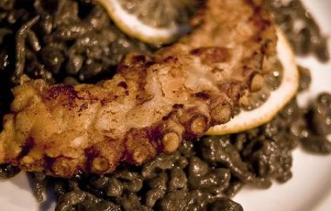 Merkel si Medvedev au mancat caracatita, cu gandul la Paul