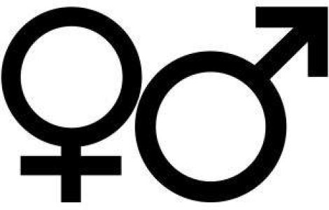 Macedonia: Dreptul fundamental al cetatenilor de a face sex, recunoscut