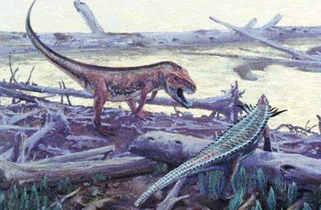 Viata de pe Pamant dispare odata la 27 milioane de ani