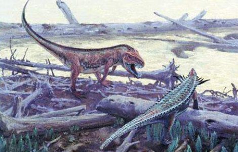 Viata de pe Pamant dispare odata la 27 milioane de ani