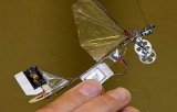 Cercetatorii olandezi au creat cea mai mica insecta-drona din lume