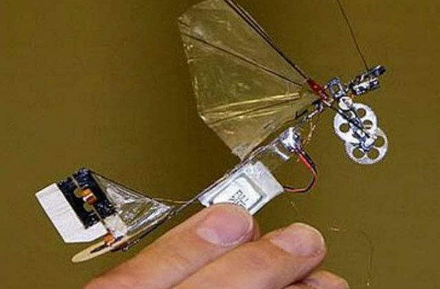 Cercetatorii olandezi au creat cea mai mica insecta-drona din lume