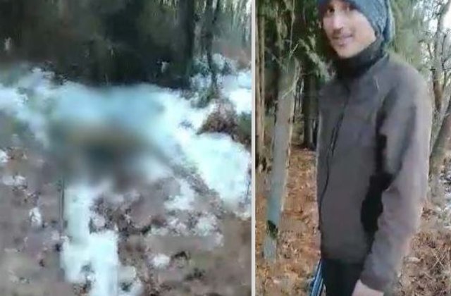 Anchetă în Bihor. Câine împușcat fără motiv de un inginer silvic: „A zis că are dreptul să-l împuște, că e hoinar”  