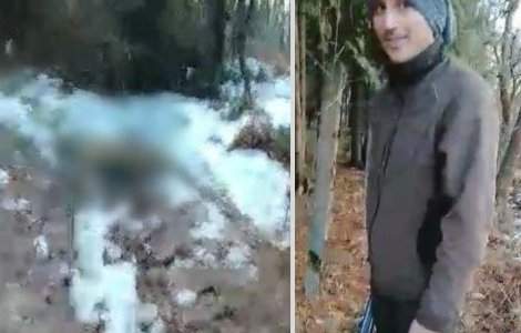 Anchetă în Bihor. Câine împușcat fără motiv de un inginer silvic: „A zis că are dreptul să-l împuște, că e hoinar”