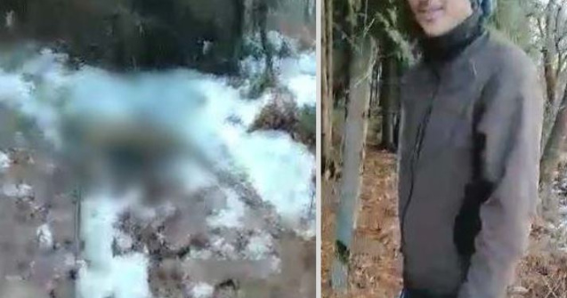 Anchetă în Bihor. Câine împușcat fără motiv de un inginer silvic: „A zis că are dreptul să-l împuște, că e hoinar”