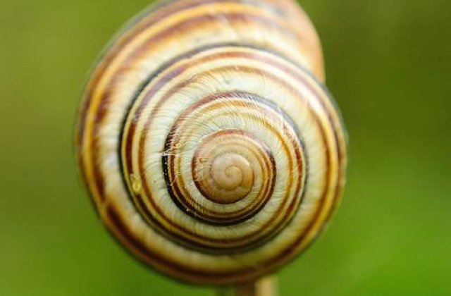 Hipnoterapia, o interventie spectaculoasa si rapida!