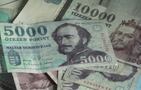Situatia din Ungaria, "un pericol pentru bruma" de stabilitate economica a Romaniei