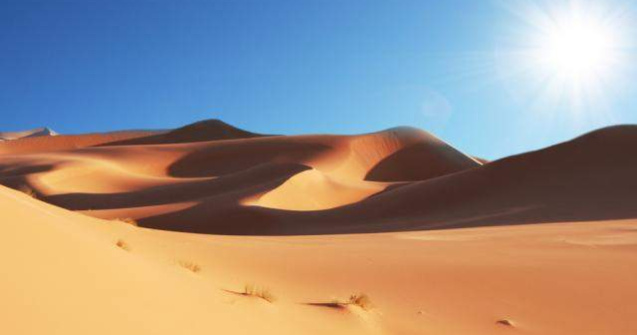 Anul 2010, cel mai cald pentru planeta