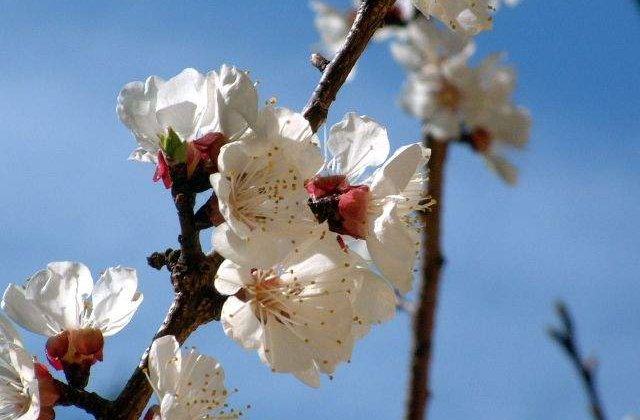 Prognoza meteo pentru urmatoarele trei luni: Cu ce temperaturi vine primavara